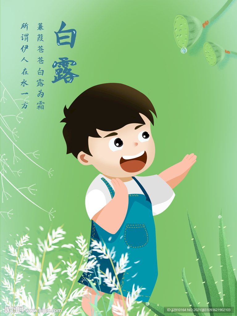 白露插画