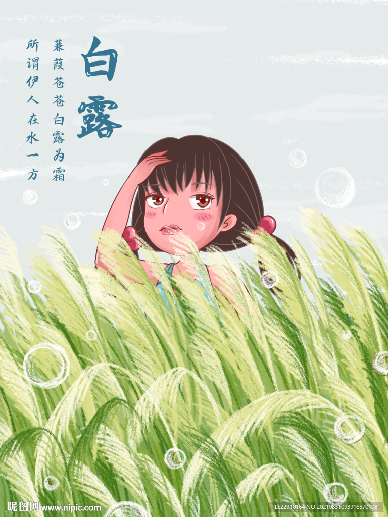 白露插画