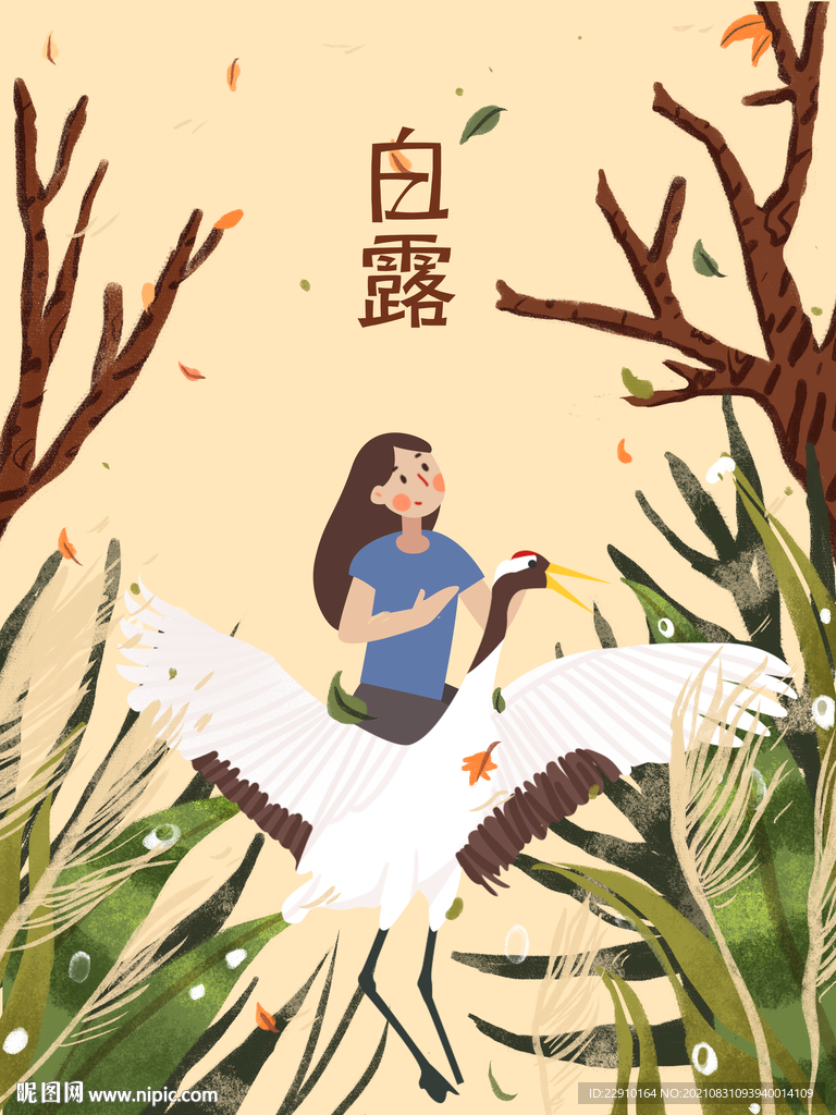 白露插画