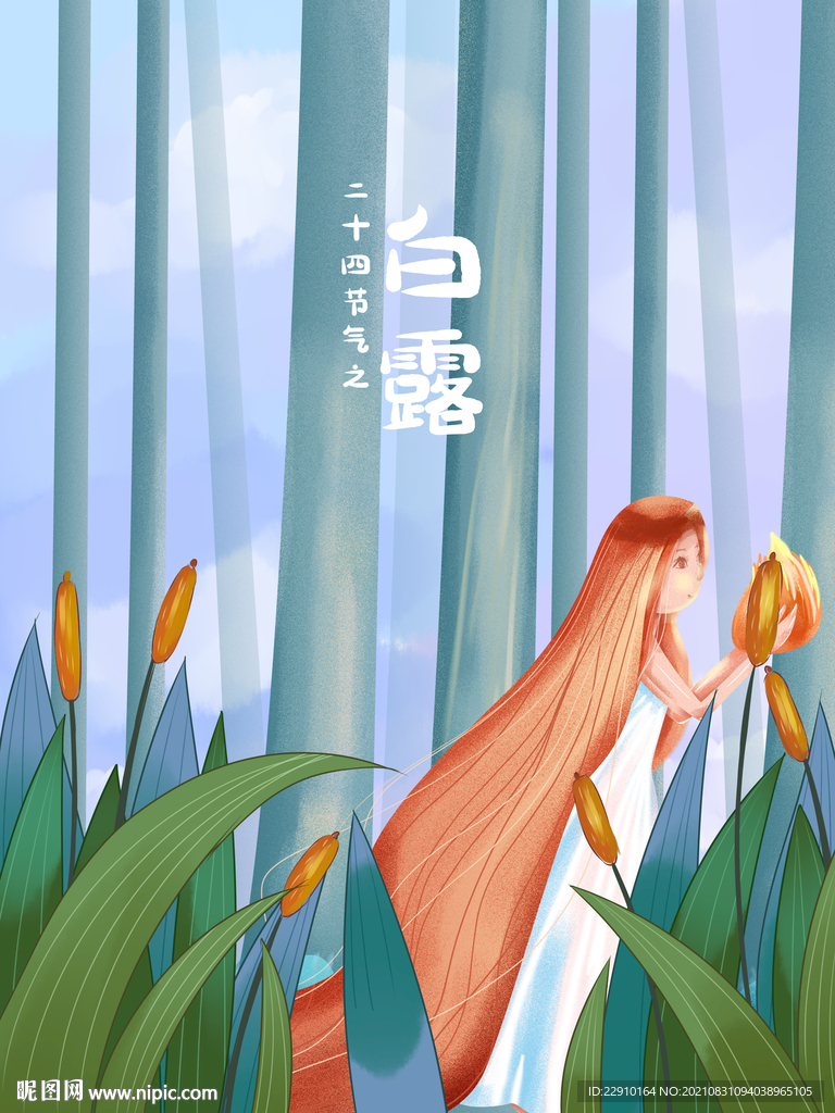 白露插画