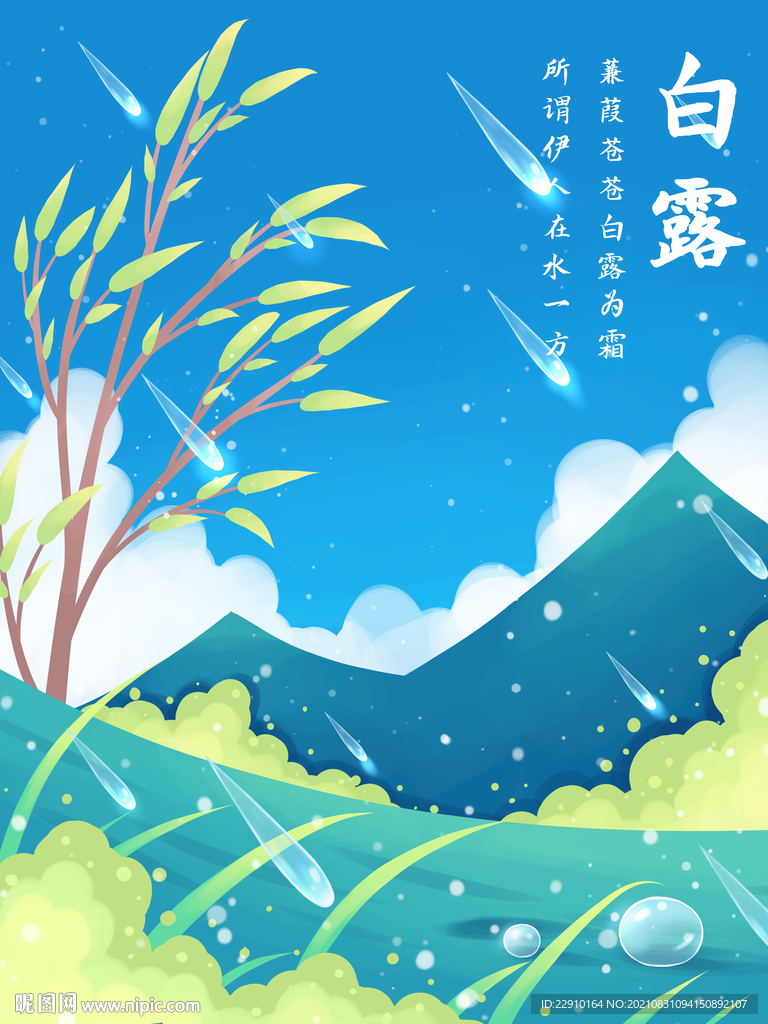 白露插画