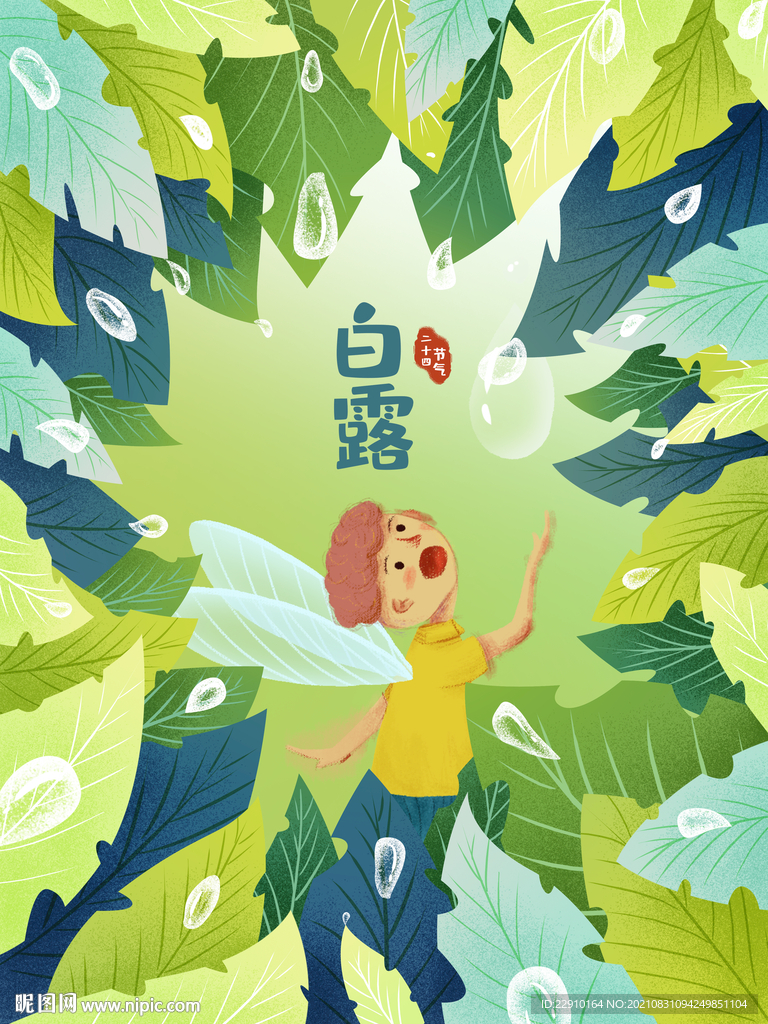 白露插画