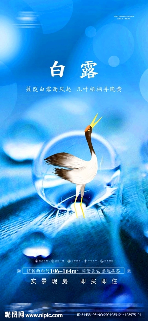 地产白露