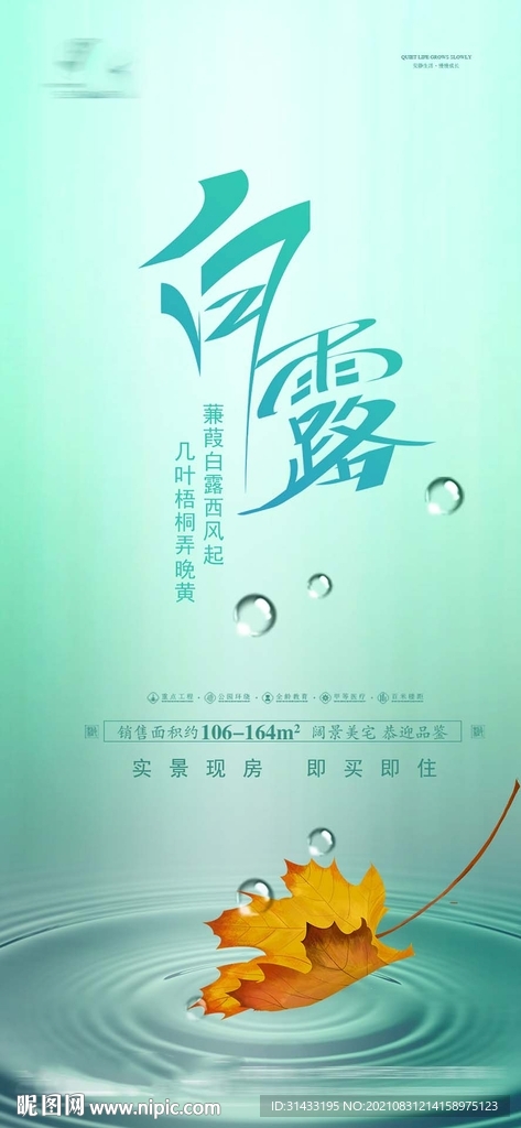 地产白露