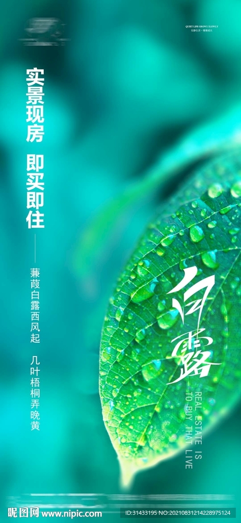 地产白露
