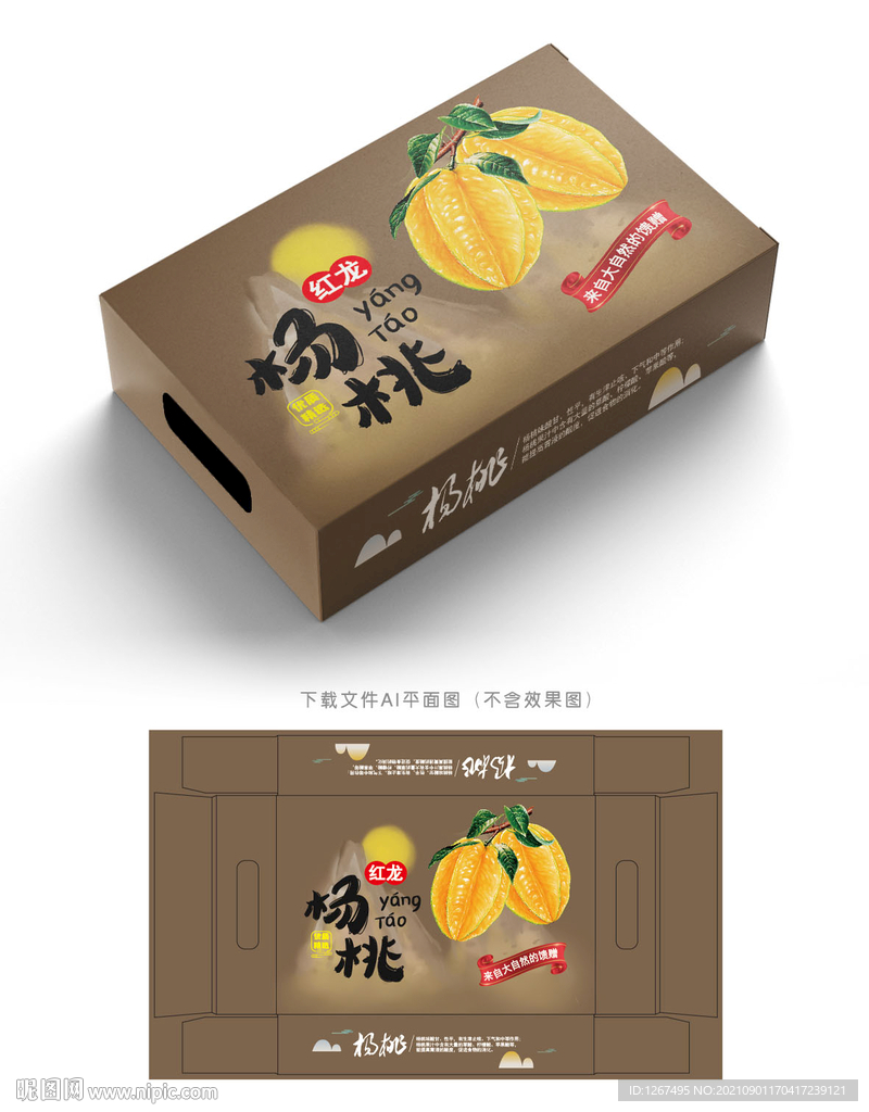 杨桃包装 