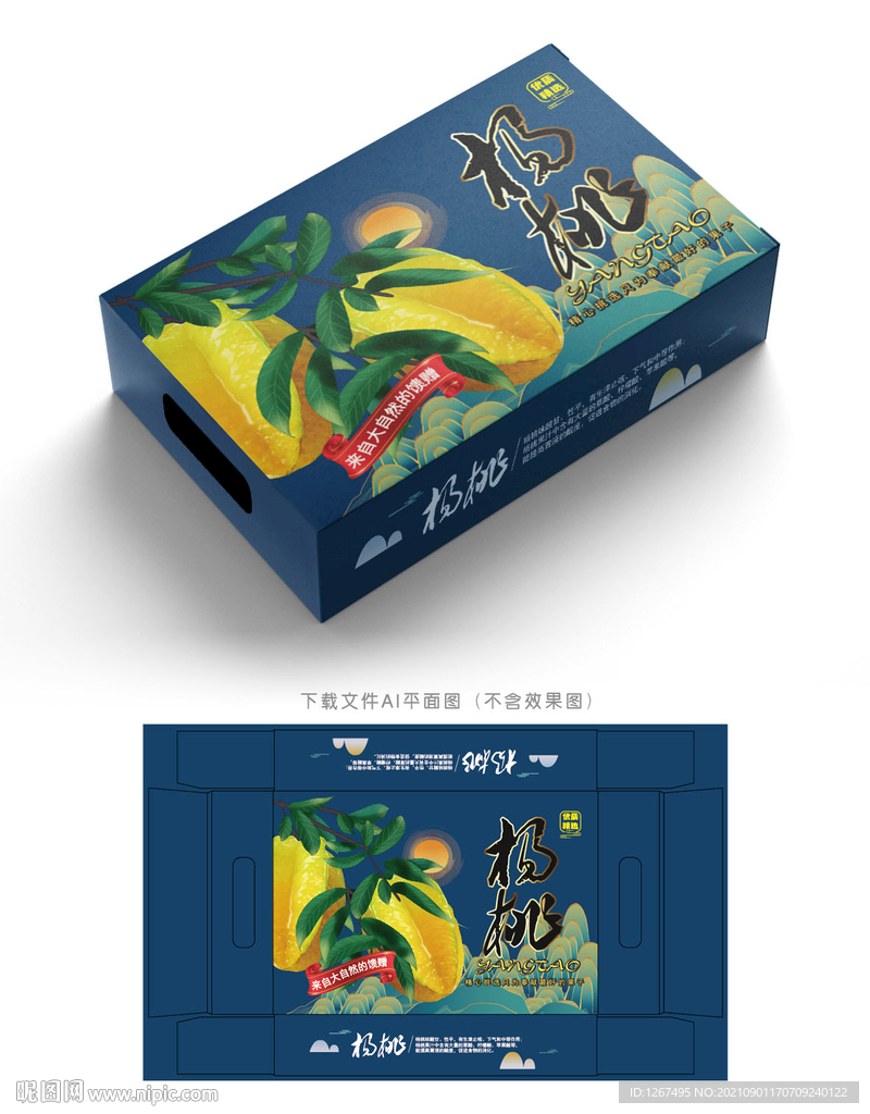 杨桃包装 