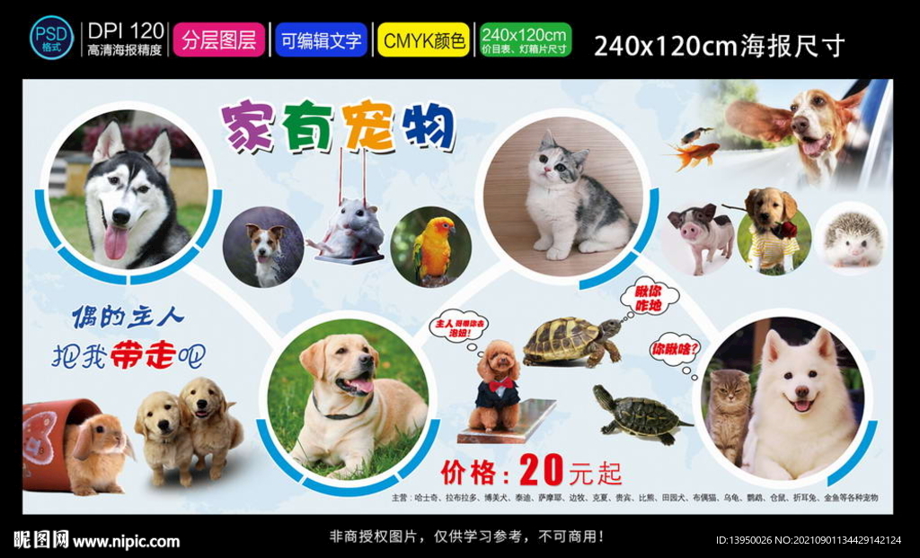 宠物海报 宠物用品