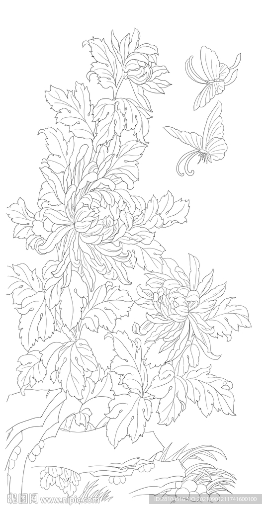 菊花