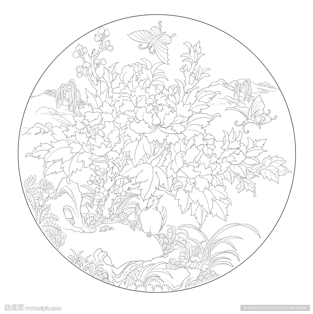 牡丹