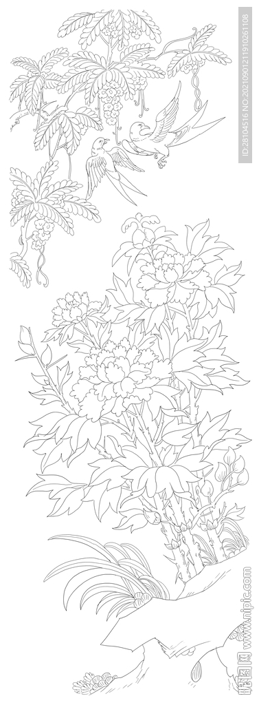 牡丹花