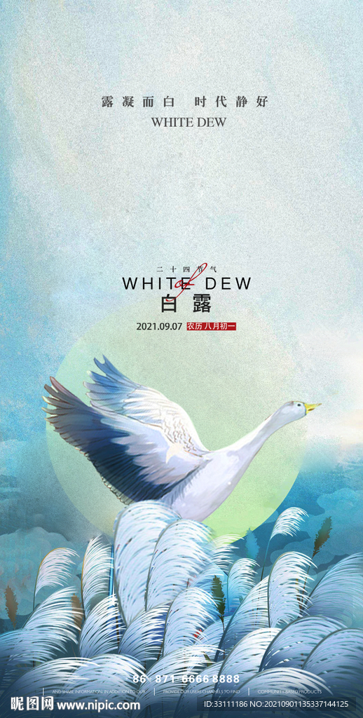 白露