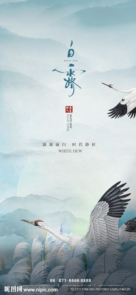 白露