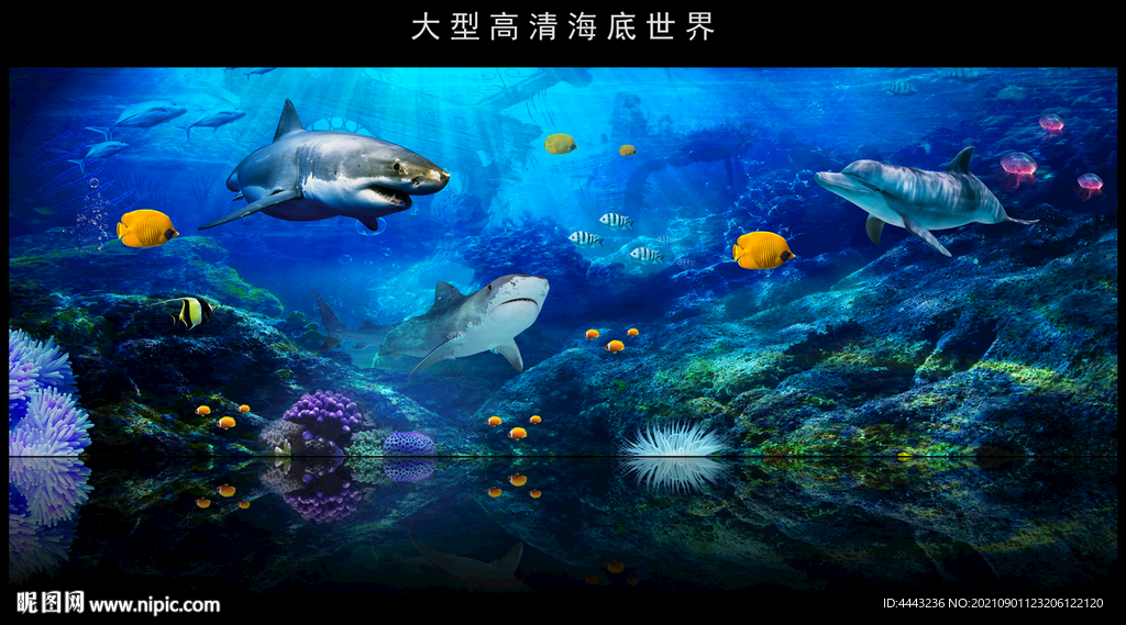 海底世界背景