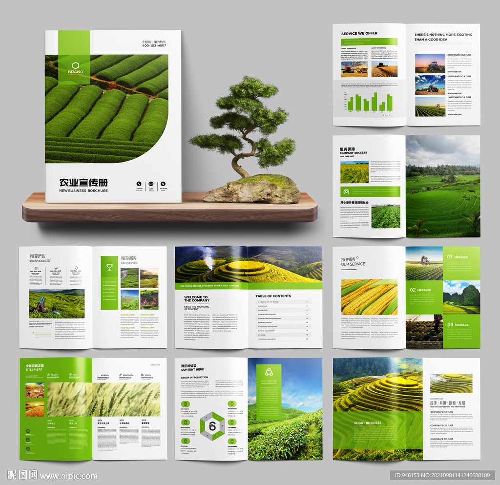 农业画册 农产品宣传册