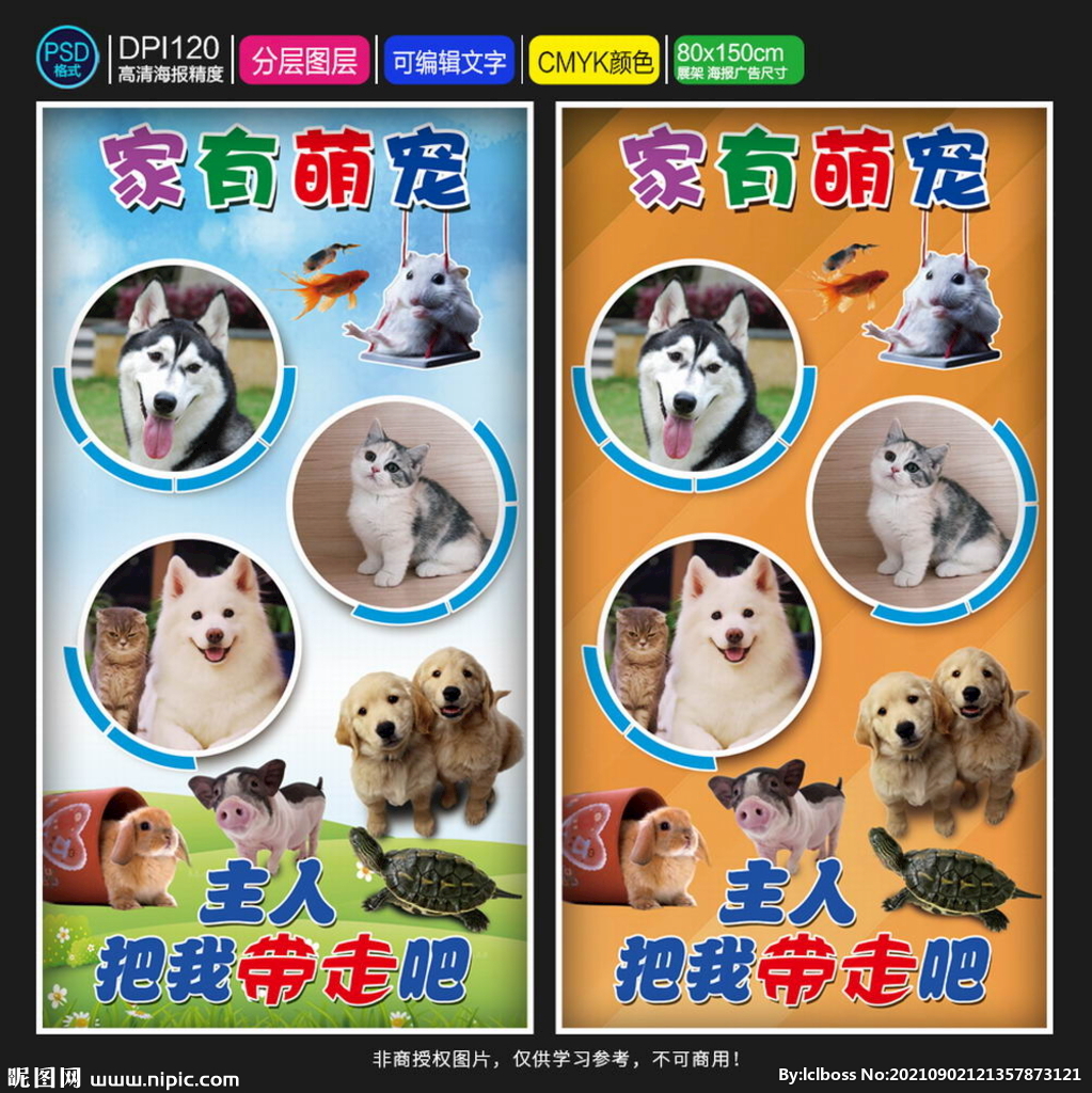 宠物海报 宠物用品