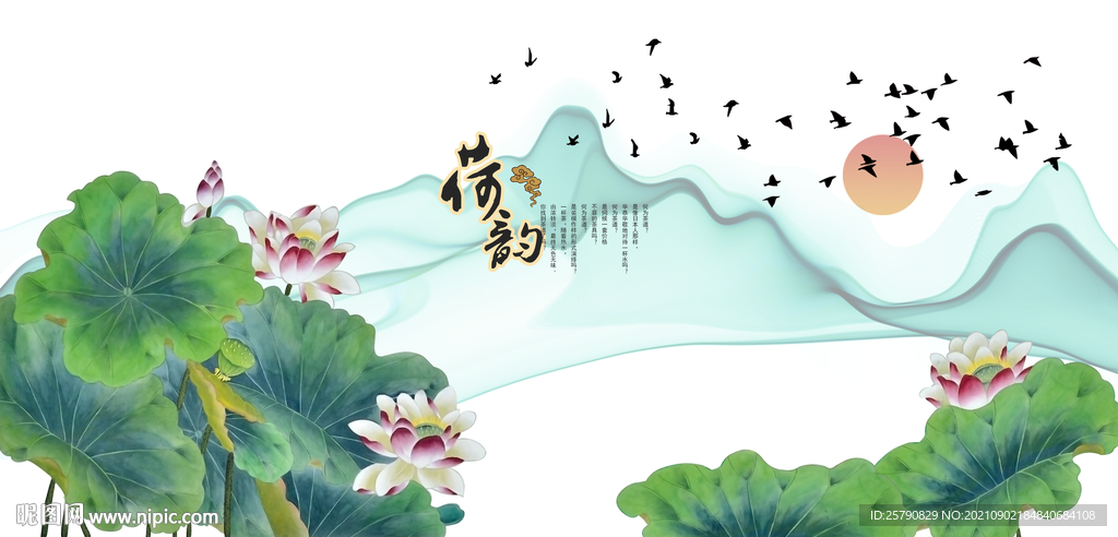 荷花