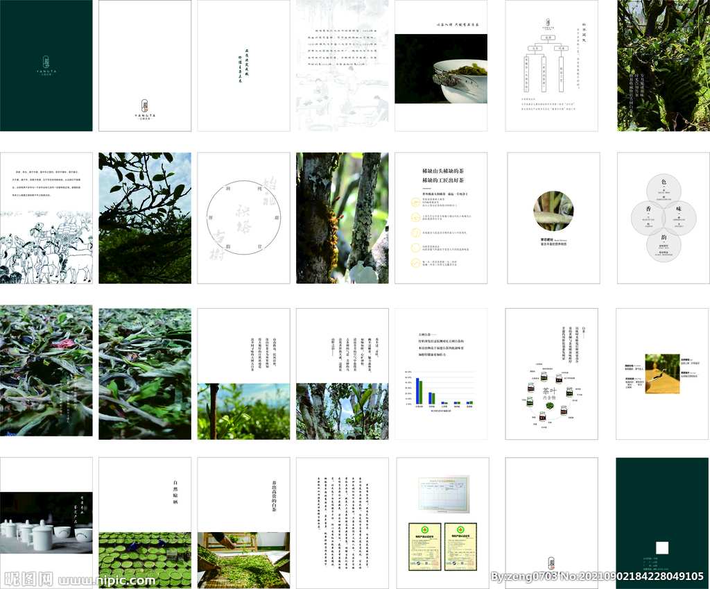 云南秧塔大白茶