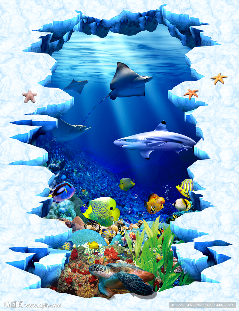 水族馆