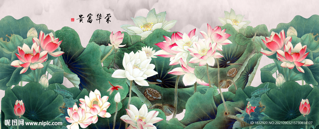富贵荷花