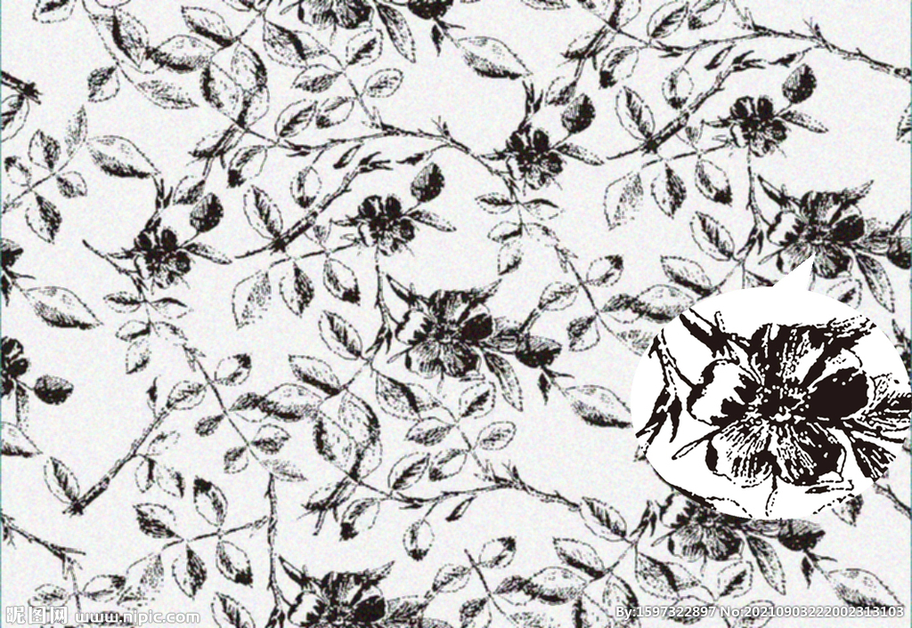 手绘黑白线条花