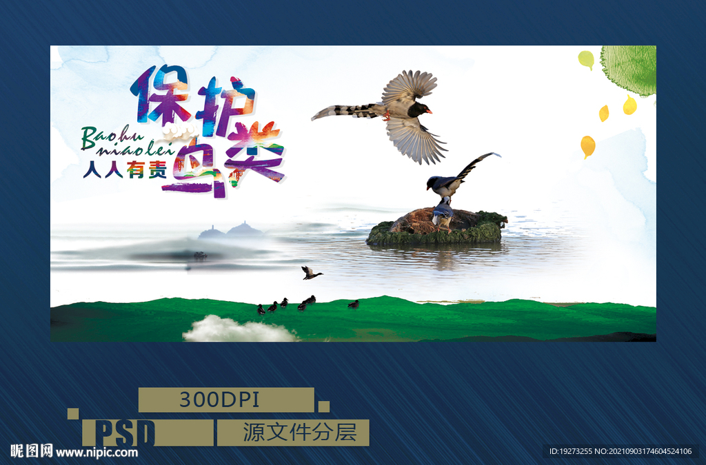保护鸟类