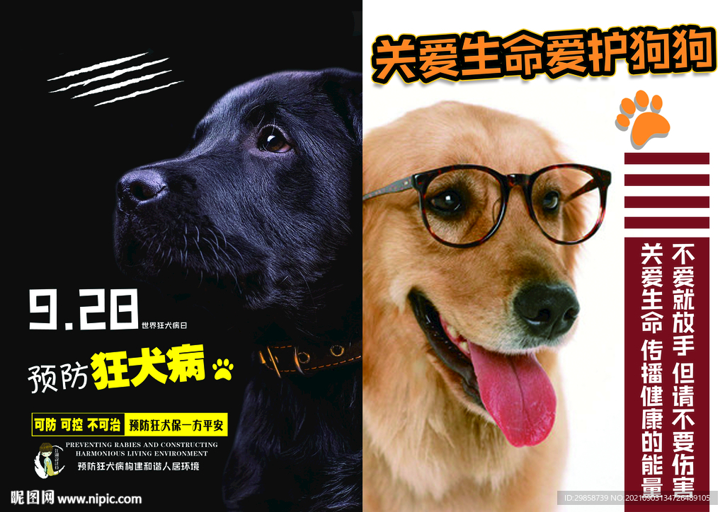 预防狂犬病    动物海报  
