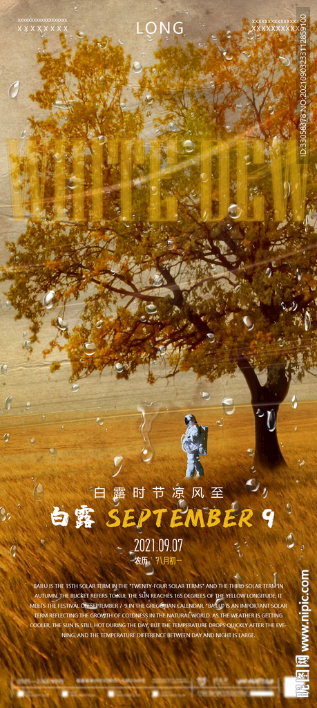 酒吧白露节气海报