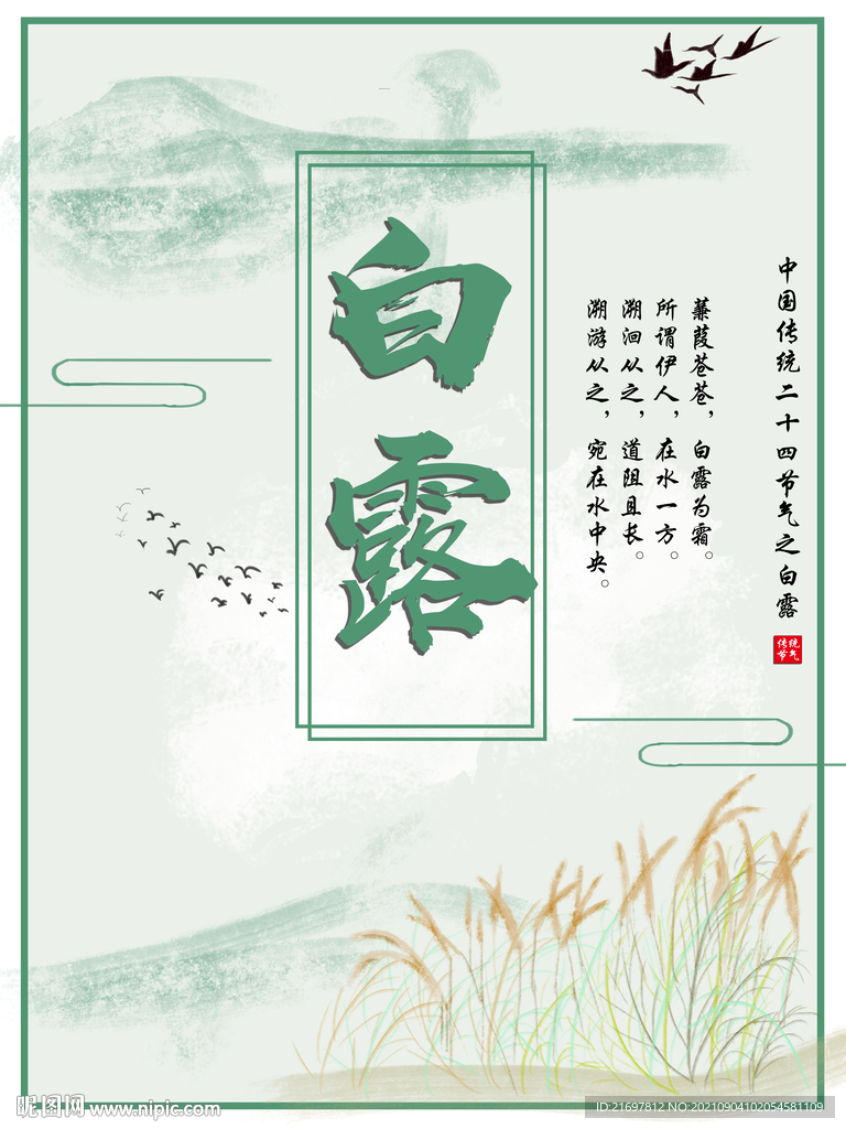 中国传统24节气之白露海报