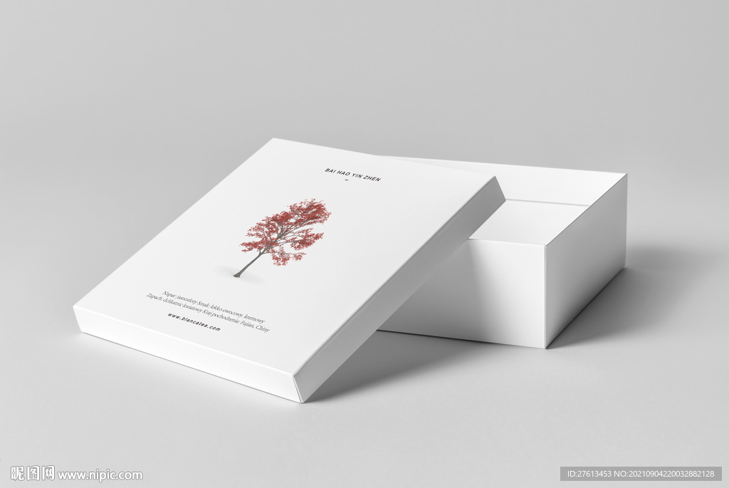 包装盒样机图片设计图__包装设计_广告设计_设计图库_昵图网nipic.com