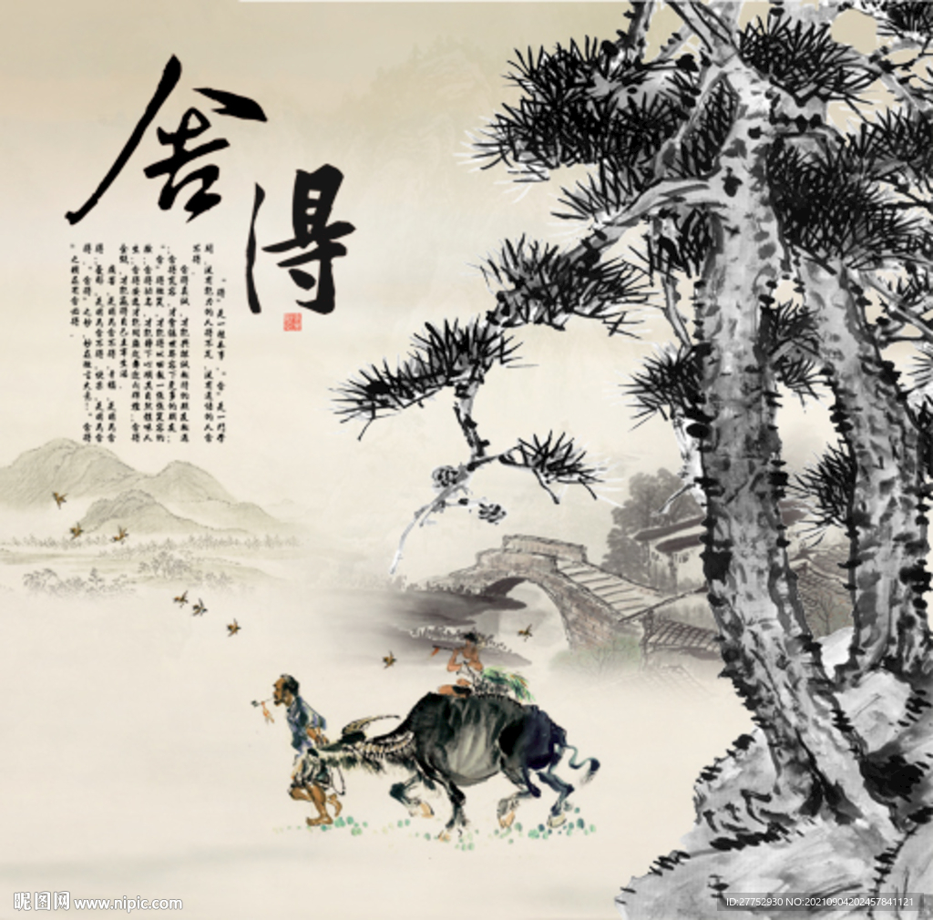 舍得
