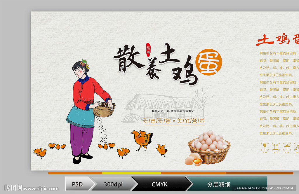 土鸡蛋(分层图)