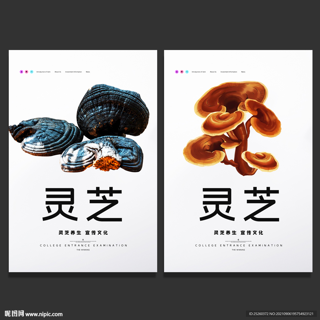 灵芝
