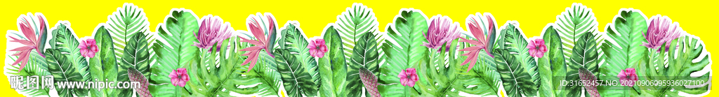 热带植物图片