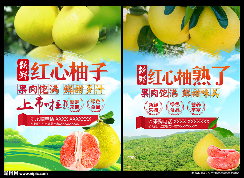 红心柚海报