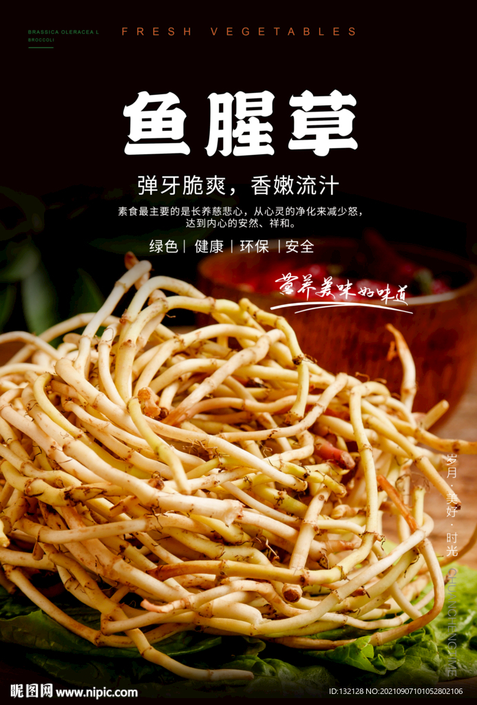 鱼腥草海报
