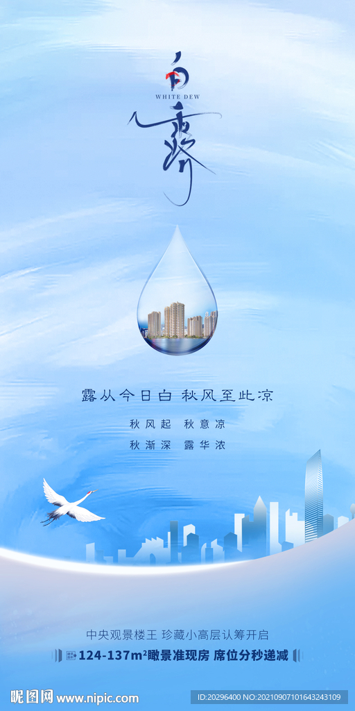 白露 寒露 节气海报