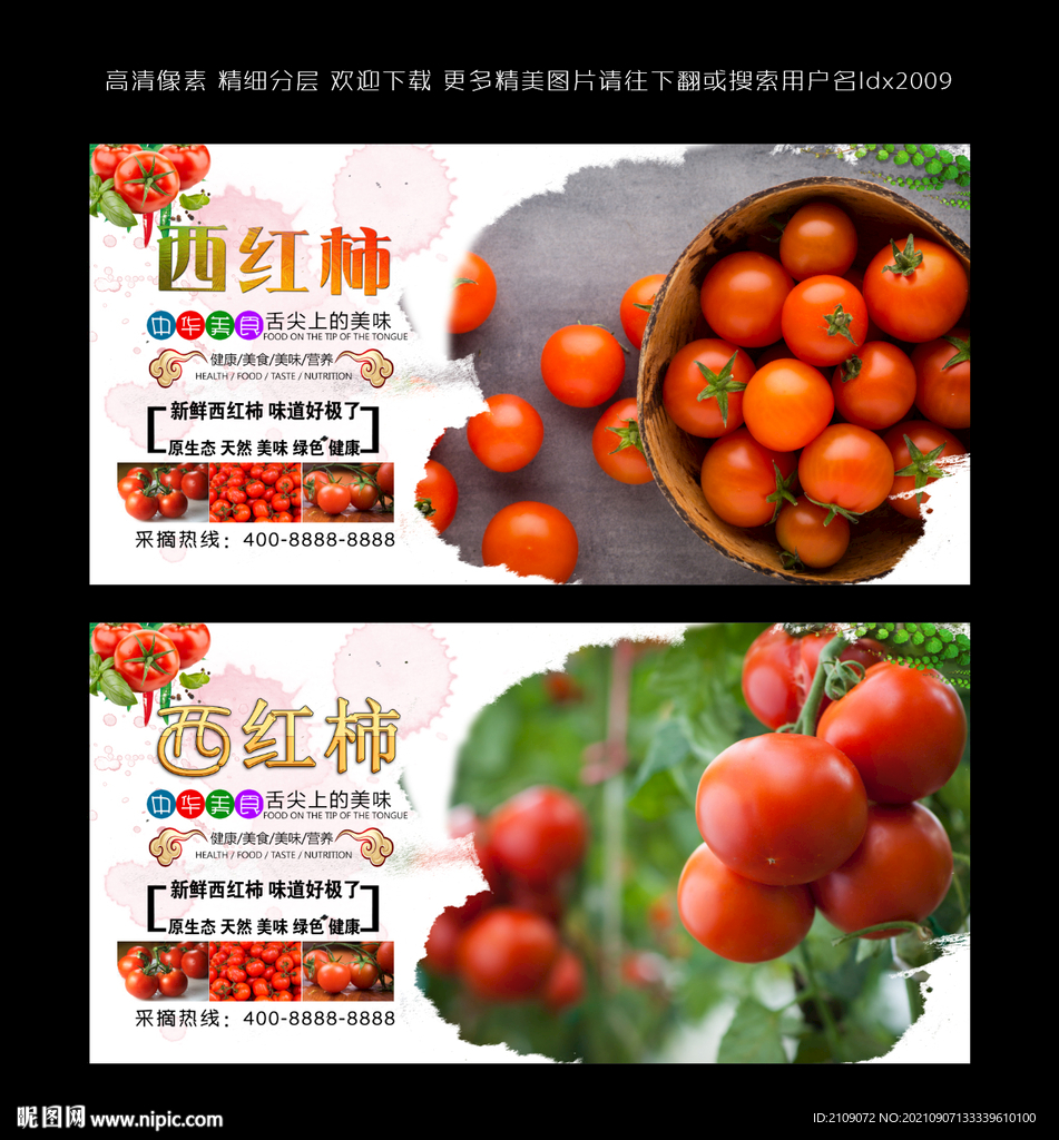 西红柿  