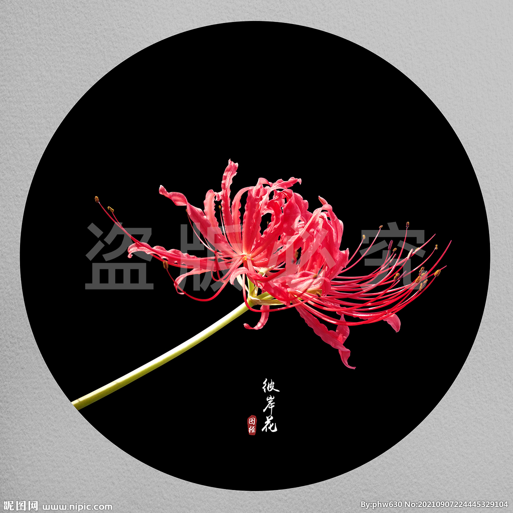 彼岸花