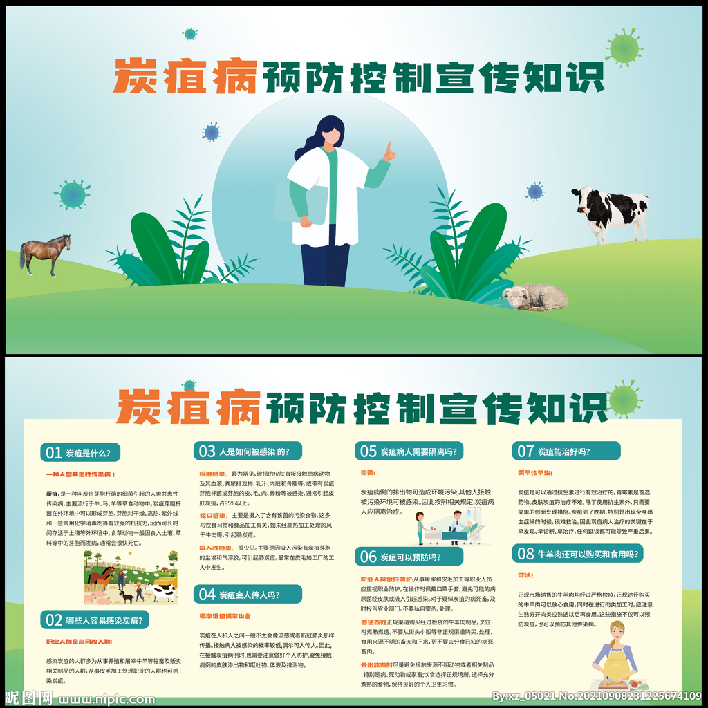 炭疽病预防与知识
