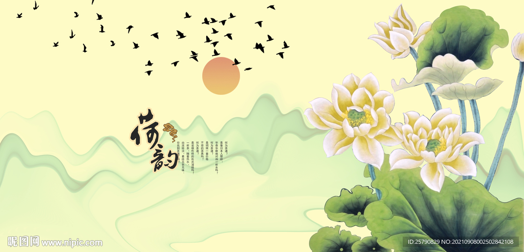 荷花