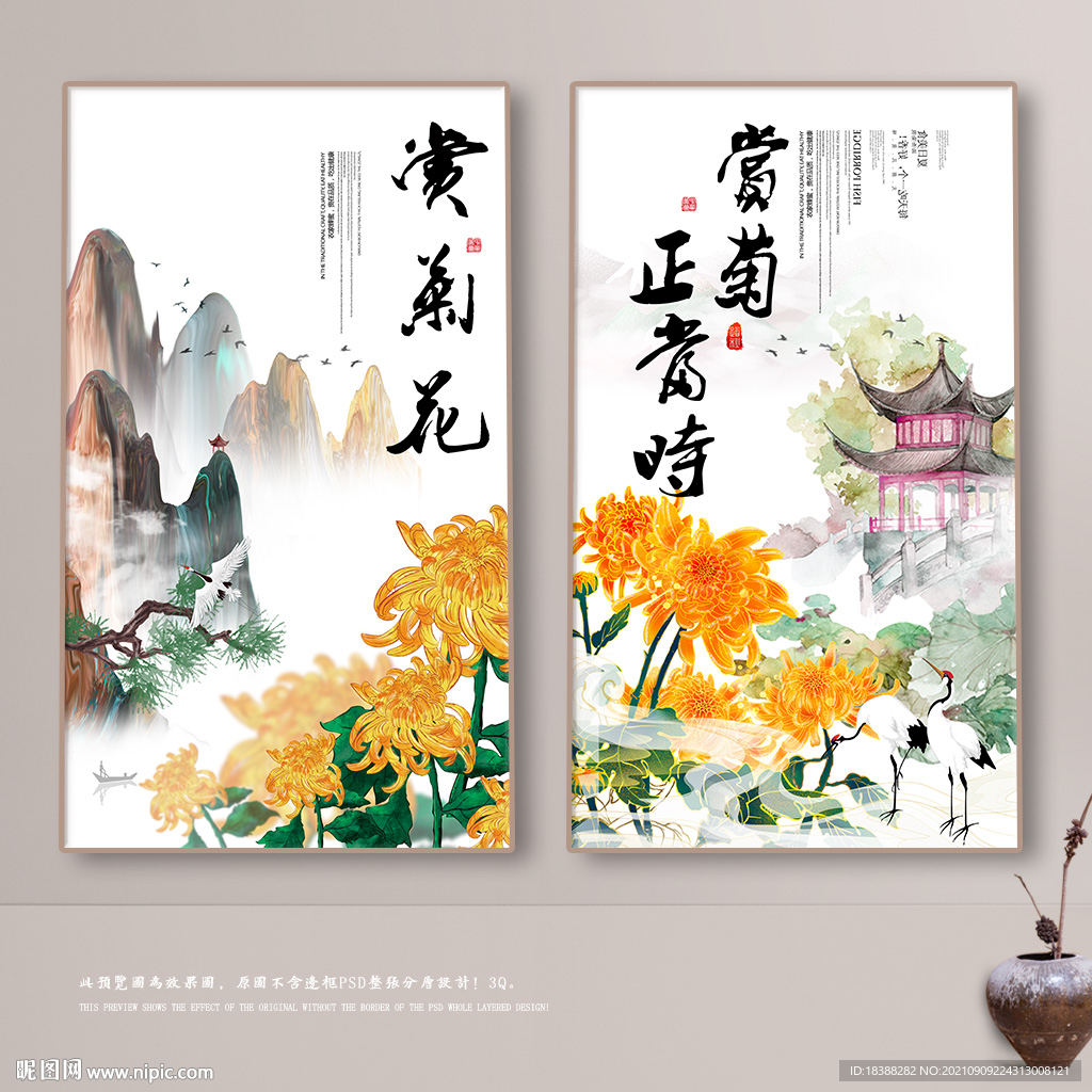菊花展