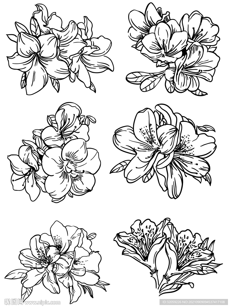 矢量花朵手绘线稿插画素材