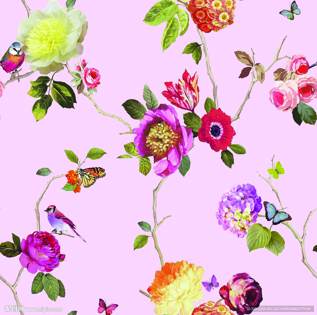 花卉 叶子     鸟