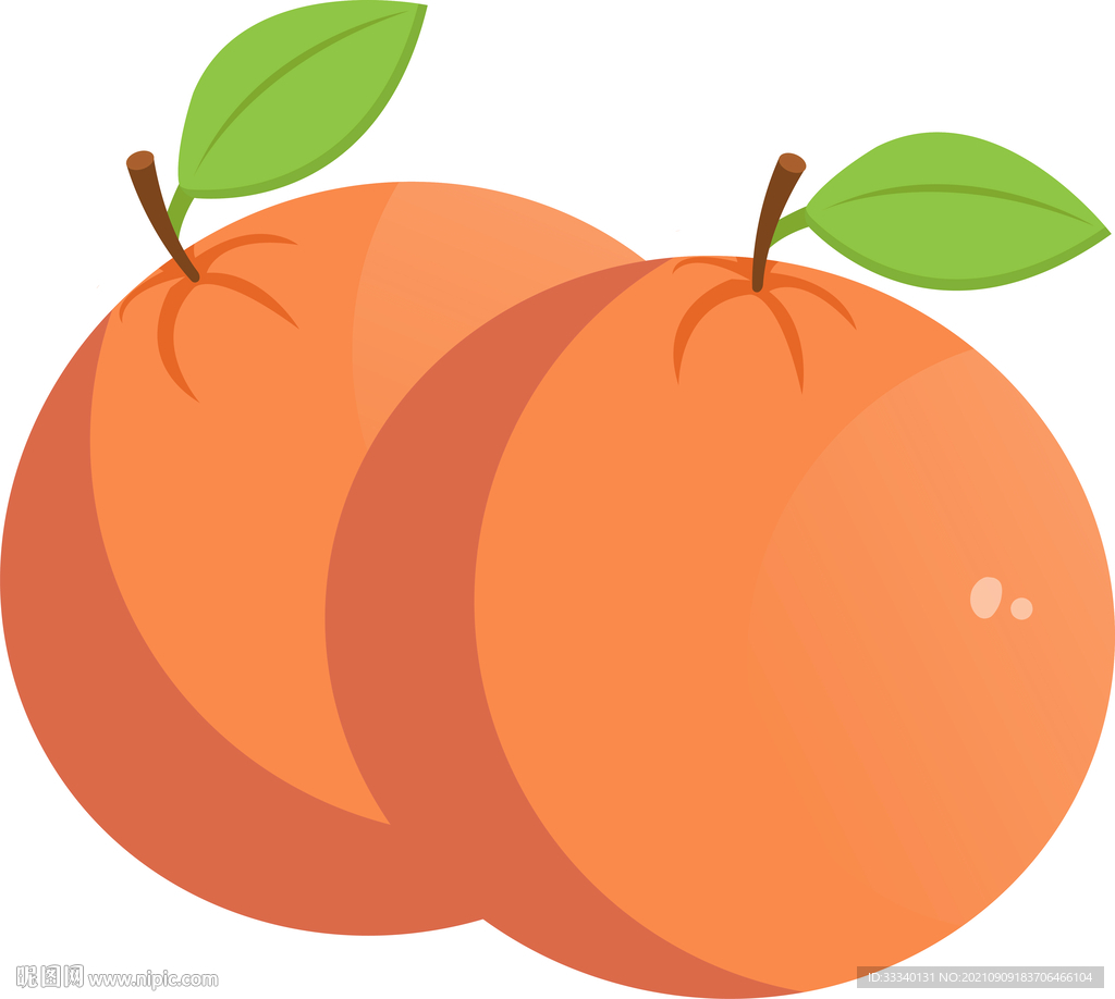 矢量新鲜的橙子