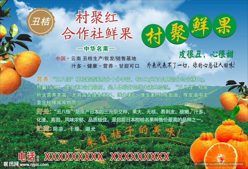 村聚红蜜桔