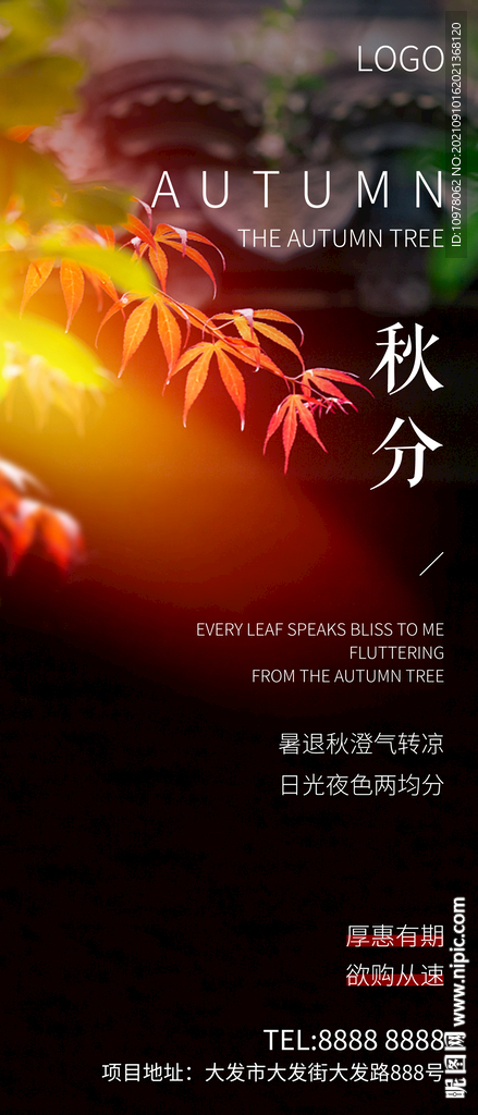 秋分
