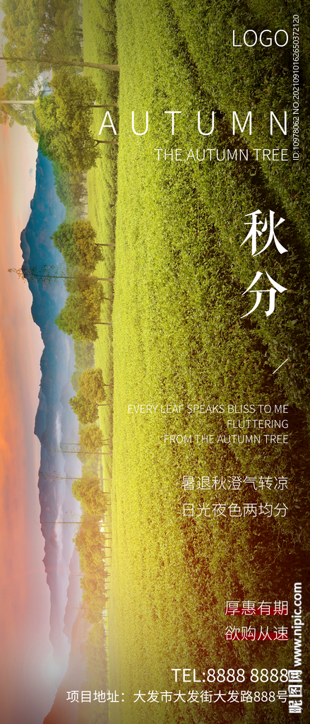 秋分