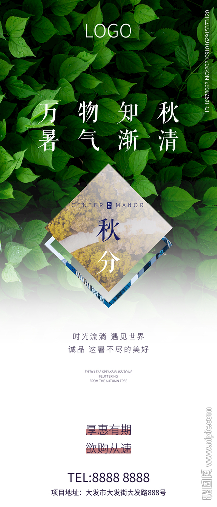 秋分