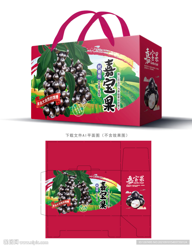 嘉宝果包装 
